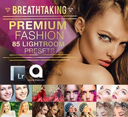 Lightroom预设－85个时尚的肖像色调：85 Fashion & Portrait Lightroom Prese